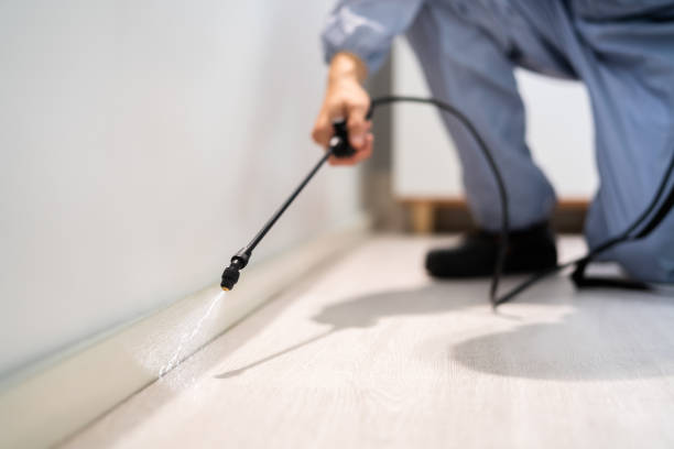 Licensed Mosquito Control service in Saratoga Springs, NY - Show Me Pest Control