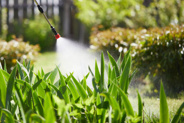 24/7 Emergency Mosquito Control experts in Saratoga Springs, NY